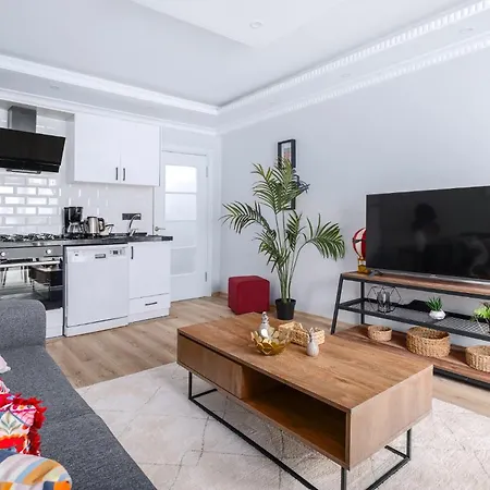 Cozy City Apartment High-Speed Wif Elevator Apartment Istanbul