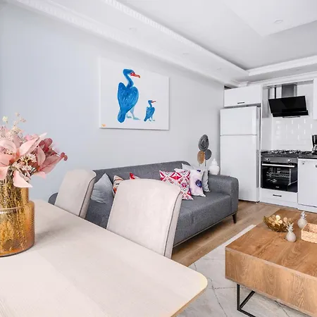 Cozy City Apartment High-Speed Wif Elevator Istanbul