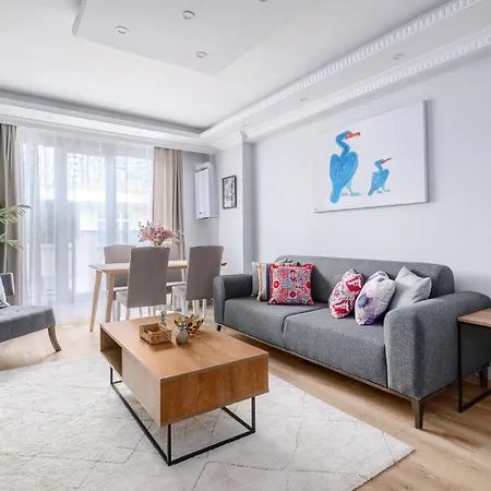 Cozy City Apartment High-Speed Wif Elevator Apartment Istanbul